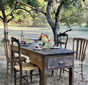 antique table and chairs set outside on Fernweh property